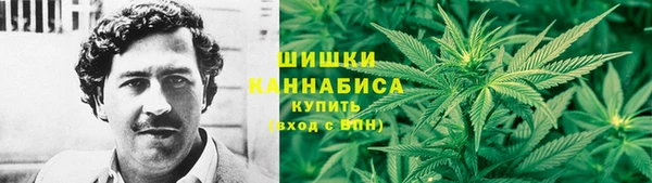 соль ск Волосово