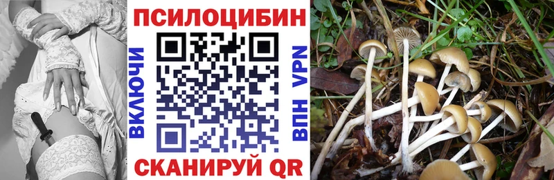 Псилоцибиновые грибы ЛСД  Купить  Киренск 